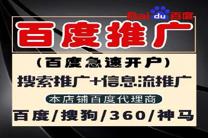 SEM托管服务案例：实现品牌价值最大化